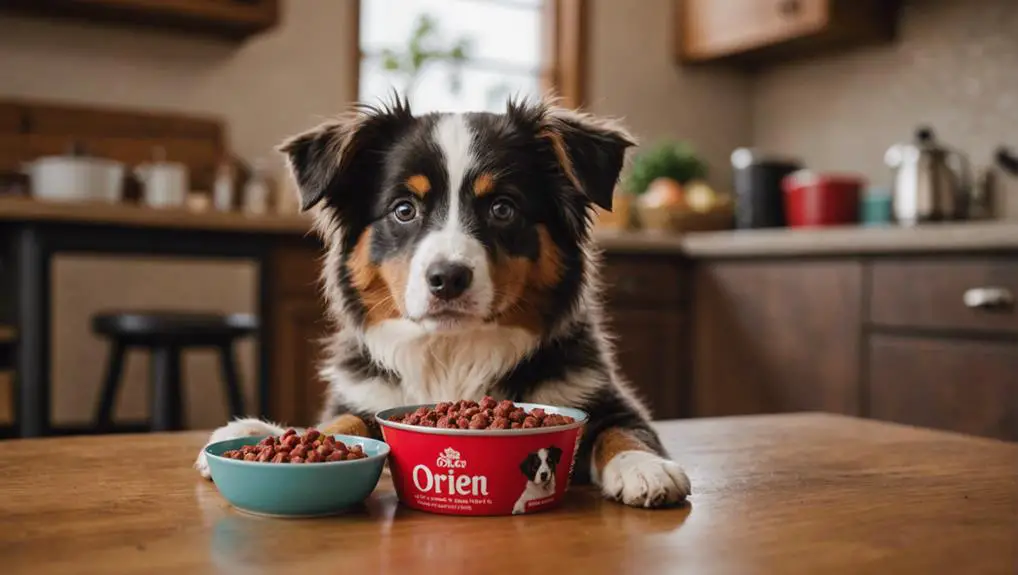 high protein dog food